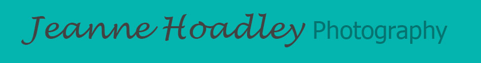 nameplate for Jeanne Hoadley Photography